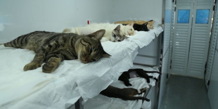 Foto: Prefeitura de Pontal do Paraná