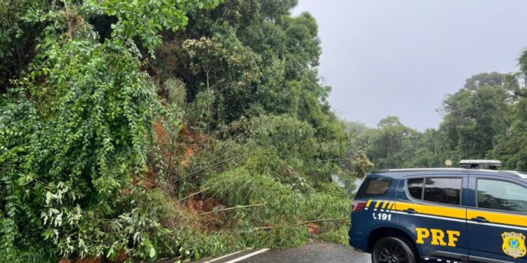 Bloqueio na Serra da Esperança causa prejuízos milionários e impacto direto no porto de Paranaguá