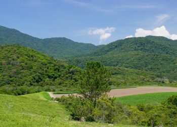 Fazenda Morro Holandês - Foto: Ilha do Mel FM