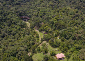 Foto: José Fernando Ogura/Arquivo AEN