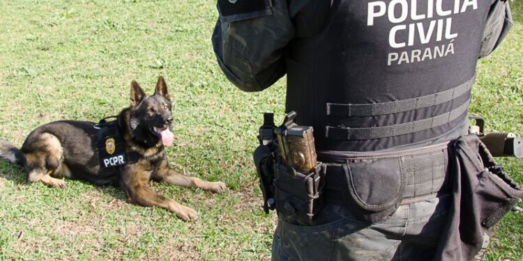 Foto: Fábio Dias/EPR