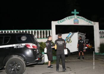 Animais congelados em Matinhos: veterinário esclarece procedimento e desmente alegações de irregularidades