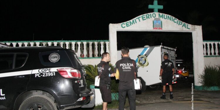 Animais congelados em Matinhos: veterinário esclarece procedimento e desmente alegações de irregularidades