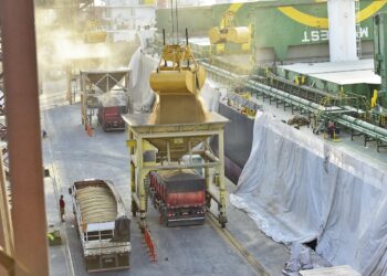 Mais de 3 mil bitrens por dia movimentaram 66 milhões de toneladas em 2024, garantindo recorde para o Porto de Paranaguá