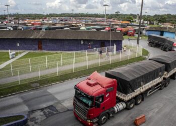 Porto de Paranaguá: R$ 6 milhões em farelo retido por suspeita de adulteração deixam 60 caminhões parados