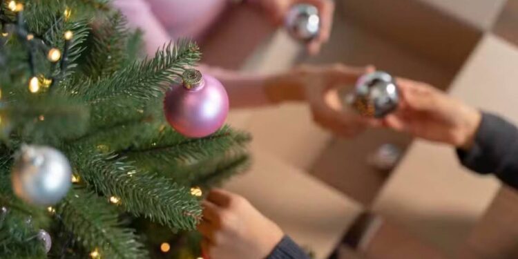 Foto: Freepik / Creative Commons