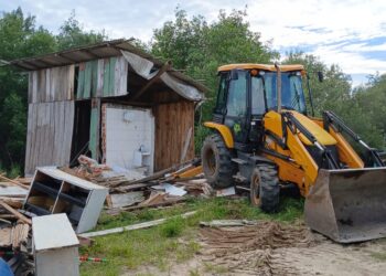 Operação de fiscalização remove 10 construções irregulares em manguezais de Paranaguá