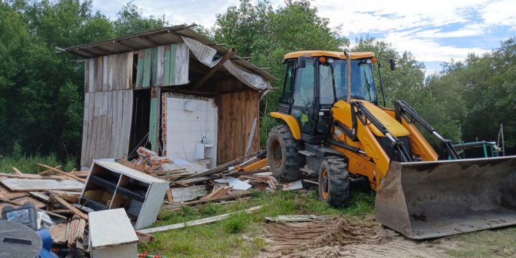 Operação de fiscalização remove 10 construções irregulares em manguezais de Paranaguá