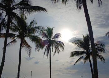 Litoral enfrenta calor recorde: sensação térmica chega a quase 60°C em Guaraqueçaba