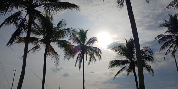 Litoral enfrenta calor recorde: sensação térmica chega a quase 60°C em Guaraqueçaba
