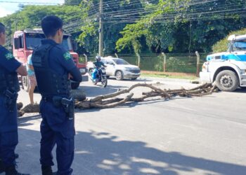 Moradores fecham Avenida Senador Atílio Fontana em protesto por mais segurança no trânsito