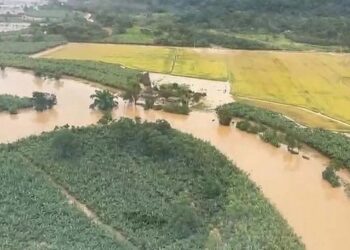 Chuvas intensas causaram perdas na produção de banana em Guaratuba, maior produtora do Paraná
