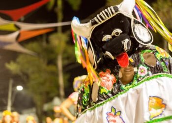 Blocos, bonecos gigantes e muito samba agitam o Litoral a partir de sexta (21); veja a programação do pré-Carnaval