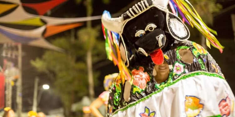 Blocos, bonecos gigantes e muito samba agitam o Litoral a partir de sexta (21); veja a programação do pré-Carnaval
