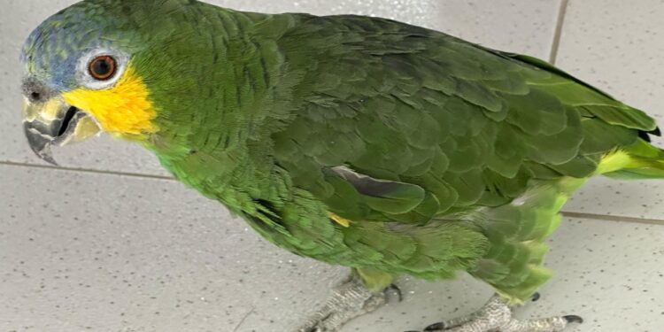 Foto: Assessoria de Comunicação da PCPR.