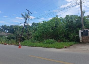 Moradores de Alexandra denunciam risco de acidente com poste pendurado pelos fios há cinco dias