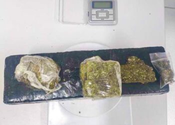 ROMU apreende quase 800 gramas de maconha na Ilha dos Valadares