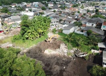 PF deflagra XX fase da Operação AIFA em Paranaguá/PR