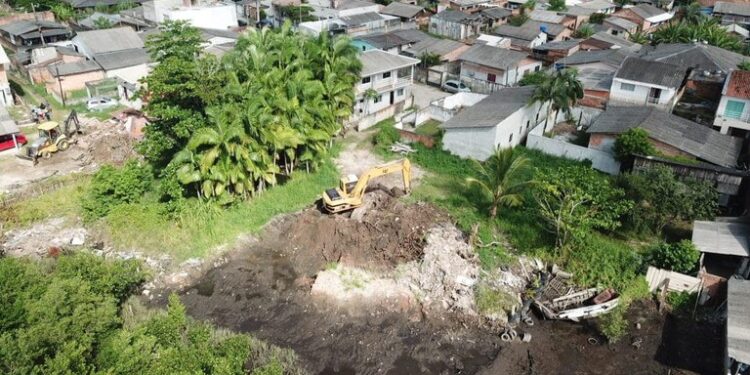 PF deflagra XX fase da Operação AIFA em Paranaguá/PR