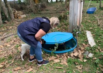 Casos de dengue avançam no Paraná e Litoral confirma primeira morte pela doença em 2025