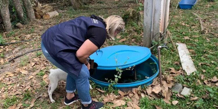 Casos de dengue avançam no Paraná e Litoral confirma primeira morte pela doença em 2025