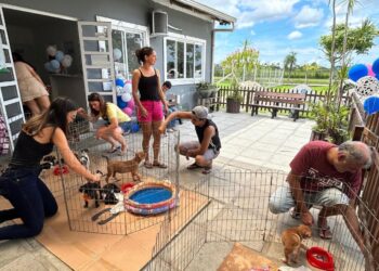 Feira de Adoção no Aeroparque busca novos lares para cães e gatos neste sábado (22)
