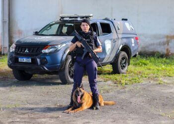 Paranaguá inicia implantação da Unidade K9 na Guarda Civil Municipal