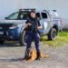 Paranaguá inicia implantação da Unidade K9 na Guarda Civil Municipal