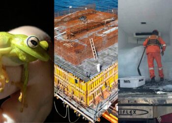 Foto: Consórcio Supervisor Ponte de Guaratuba