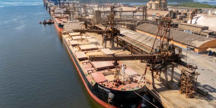 Foto: Claudio Neves/Portos do Paraná