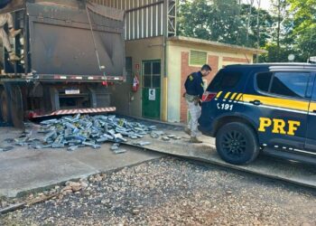 PRF apreende mais de 670 quilos de cocaína na BR- 487; droga estava em um caminhão carregado com soja que seria descarregado em Paranaguá