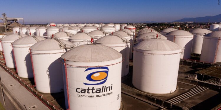 Cattalini lança guia gratuito com termos do setor portuário para aproximar público das operações