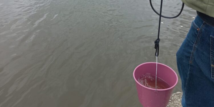 Vereador Marcelo Peke protocola denúncia no Ministério Público contra a Paranaguá Saneamento