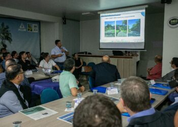 Projeto prevê requalificação da Avenida Atílio Fontana com ligação à BR-277 para fomentar novo distrito industrial em Paranaguá