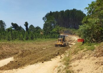 Governo lança edital para anteprojeto da pavimentação da estrada de Guaraqueçaba