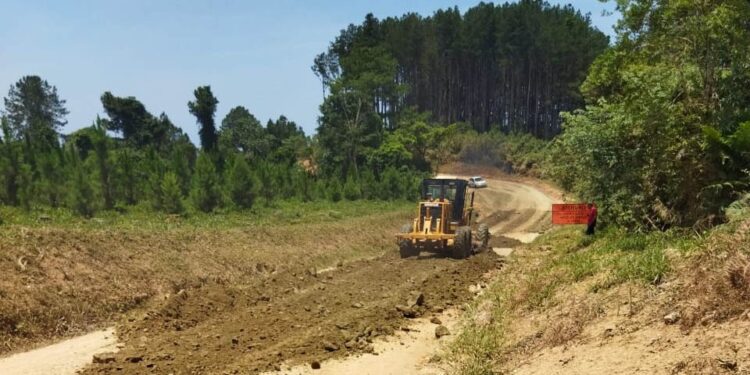Governo lança edital para anteprojeto da pavimentação da estrada de Guaraqueçaba