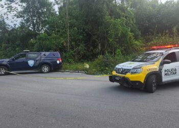 Tatuagens podem ajudar na identificação do corpo encontrado na Estrada Velha de Alexandra em Paranaguá