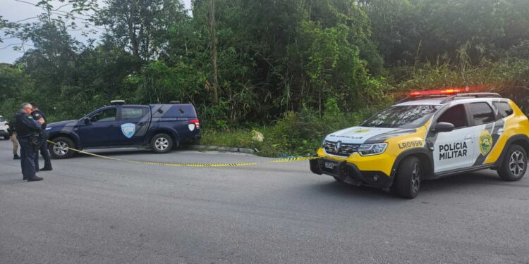 Tatuagens podem ajudar na identificação do corpo encontrado na Estrada Velha de Alexandra em Paranaguá