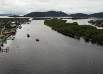 AIFA combate ocupações ilegais em manguezais de Paranaguá