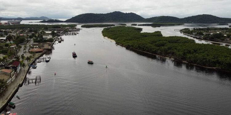 AIFA combate ocupações ilegais em manguezais de Paranaguá