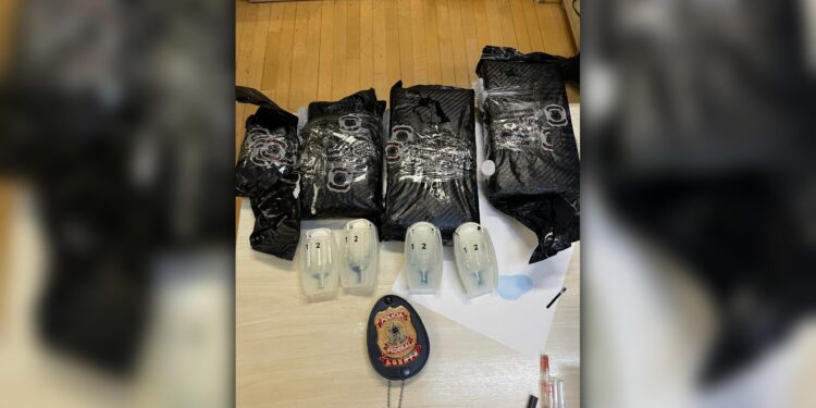 PF prende casal que tentava embarcar com 3 quilos de cocaina no Aeroporto Afonso Pena