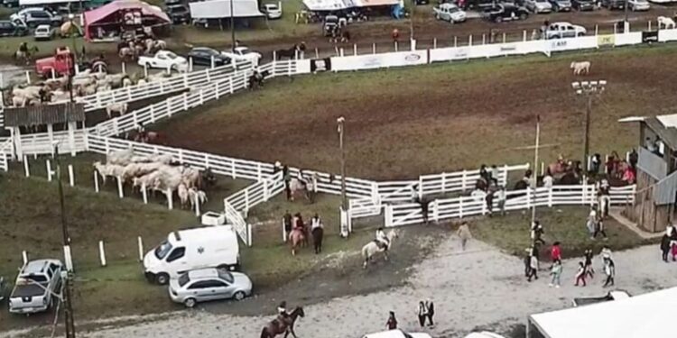 Pontal do Paraná sedia o 32º Rodeio Crioulo Nacional do CTG Desgarrados do Pago a partir desta sexta-feira (30)