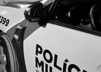 Pitbulls invadem quintal de residência e atacam cachorro no bairro Serraria do Rocha em Paranaguá