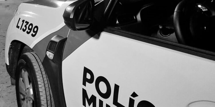 Pitbulls invadem quintal de residência e atacam cachorro no bairro Serraria do Rocha em Paranaguá