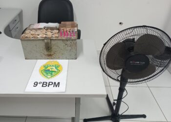 PM prende suspeitos de envolvimento com o tráfico de drogas e furtos em Alexandra
