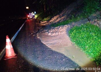 Deslizamento de lama interdita parcialmente a BR-277 na Serra do Mar, neste domingo (25)