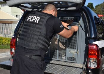 Homicídios de mulheres caem 18,7% em dez anos no Paraná