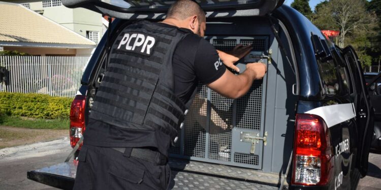 Homicídios de mulheres caem 18,7% em dez anos no Paraná