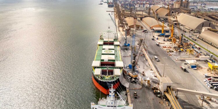 Porto de Paranaguá registra novo recorde de fertilizantes