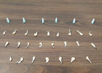 ROTAM prende ciclista suspeito de envolvimento com o tráfico de drogas em Guaratuba